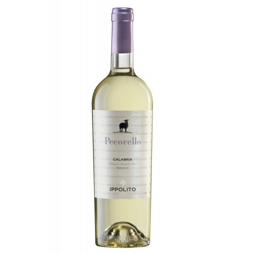 White Wine Ippolito I.G.T....